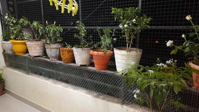 Balcony Image of 1550 Sq.ft 3 BHK Apartment / Flat for sale in Khodiyar Colony Jamnagar for Rs. 5200000