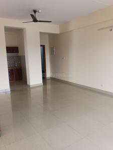 Hall Image of 850 Sq.ft 1 BHK Apartment / Flat for rent in DDA Flats Sector 14, Sector 14 Dwarka New Delhi for Rs. 33000