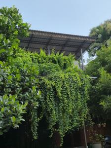 Image of 3000 Sq.ft 4 BHK Independent House for rent in Malaparamba, Kozhikode for Rs. 100000