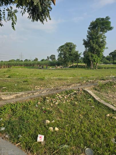 Sarita Vihar Main Image 1