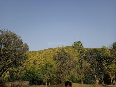 Image of 183 Sq.ft Residential Plot / Land for sale in Malsi, Dehradun for Rs. 20130000