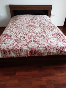 Bedroom Image of 1608 Sq.ft 3.5 BHK Apartment / Flat for rent in Adani Water Lily, Shantigram Ahmedabad for Rs. 75000