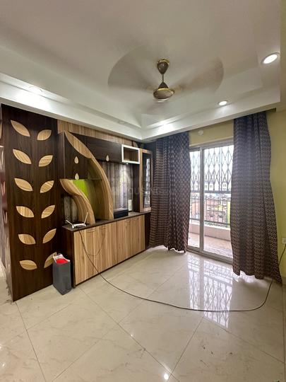 Banyon tree Main Image 1