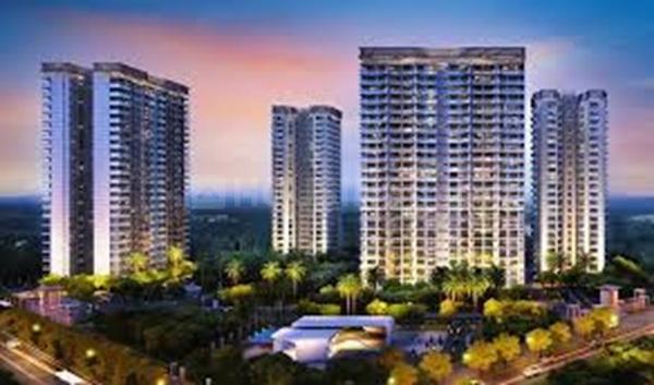 Kohinoor Satori Main Image 1