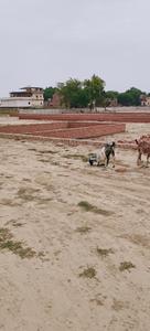 Image of 1000 Sq.ft Residential Plot / Land for sale in Babatpur, Varanasi for Rs. 1200000