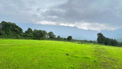 Image of 50094 Sq.ft Residential Plot / Land for sale in Murbad, Thane for Rs. 7130000