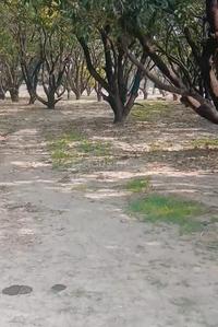 Purseni Plot View 2