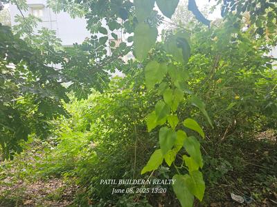 Veeranjinappa Layout Plot View 2