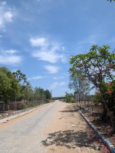 Image of 1000 Sq.ft Residential Plot / Land for sale in Jaisinghpura, Jaipur for Rs. 5000000