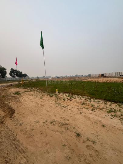 Palm Drive Main Image 1