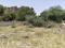Green city plots Plot View 2