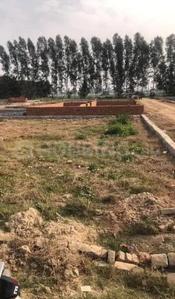 Image of 1170 Sq.ft Residential Plot / Land for sale in Jewar, Greater Noida for Rs. 3250000