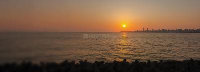 Image of 441 Sq.ft 1 BHK Apartment / Flat for sale in Ajmera Downtown, Kalbadevi, Mumbai for Rs. 28600000