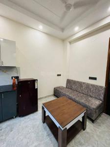 Hall Image of Elite Pg 39 sector in Sector 39, Gurgaon