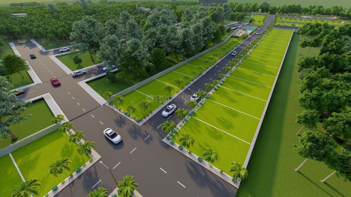 Eustoma Serenity Park Main Image 1