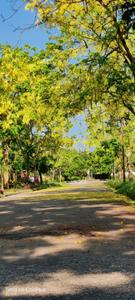 Image of 1580 Sq.ft 3 BHK Apartment / Flat for sale in Uttorayon Township, Siliguri for Rs. 16500000