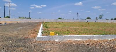 Residential Plot
