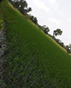 Image of 57600 Sq.ft Residential Plot / Land for sale in Uluberia, Howrah for Rs. 20000000