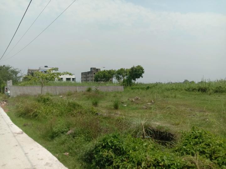 Apparent JB Garden Main Image 1