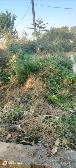 Urgent sale Main Image 1