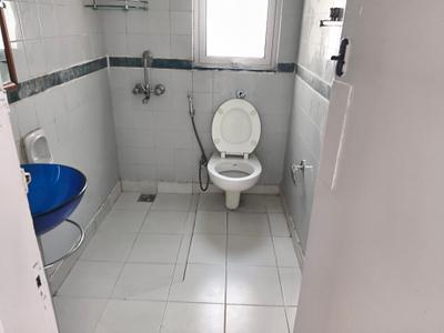 Image of 1105 Sq.ft 2 BHK Apartment / Flat for rent in DLF Regency Park 1, DLF Phase 4, Gurgaon for Rs. 58000