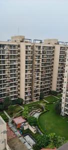 Image of 800 Sq.ft 2 BHK Apartment / Flat for rent in Signature Global Andour Heights, Sector 71, Gurgaon for Rs. 25000