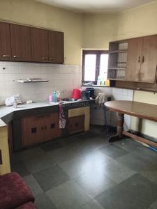 Kitchen Image of 580 Sq.ft 1 BHK Apartment / Flat for rent in Subhanpura Vadodara for Rs. 15000
