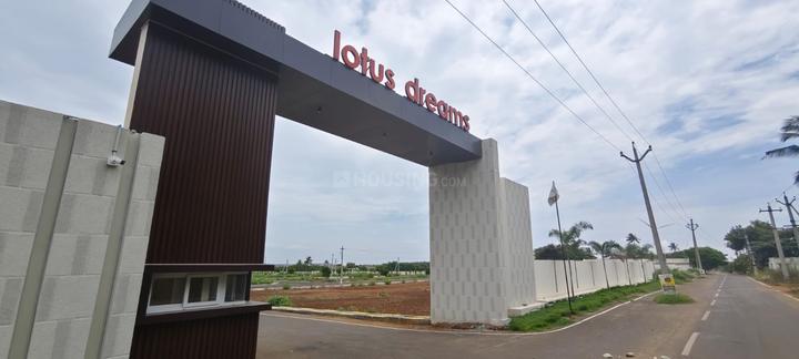 Pappampatti Main Image 1