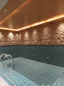 Bathroom Image of 9000 Sq.ft 5 BHK Duplex for sale in Hauz Khas New Delhi for Rs. 320000000