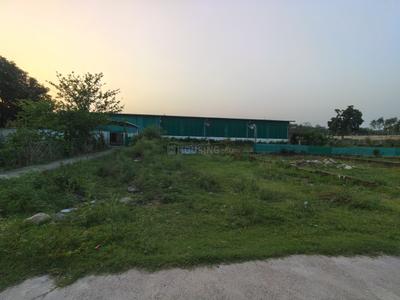 Khairi khurd Plot View 3