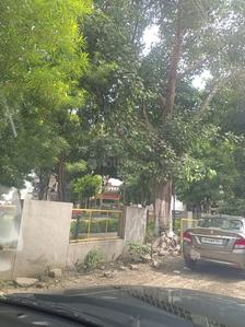 Image of 263 Sq.ft Residential Plot / Land for sale in Sector 46, Gurgaon for Rs. 80000000