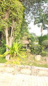 Image of 2000 Sq.ft 3 BHK Farm House for sale in DPL Nature Retreat, Tech Zone, Greater Noida for Rs. 15000000
