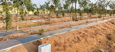Image of 120 Sq.ft Residential Plot / Land for sale in USM My City Go Ranch, Kolanupaka, Yadadri Bhuvanagiri for Rs. 1320000
