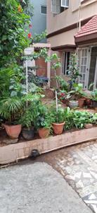 Image of 2640 Sq.ft 6 BHK Independent House for sale in Horamavu, Bengaluru for Rs. 60000000
