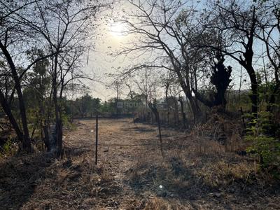Image of 32670 Sq.ft Residential Plot / Land for sale in Veshvi, Alibag for Rs. 30000000