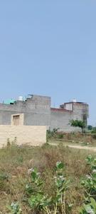 Dankaur Plot View 2