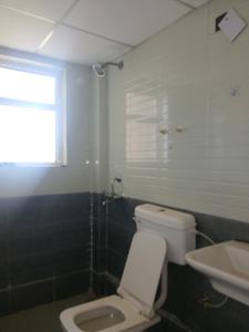 Common Bathroom Image of 1955 Sq.ft 3 BHK Apartment / Flat for sale in Chintels Serenity Pocket B Phase II, Sector 108 Gurgaon for Rs. 28200000