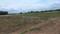 Wagholi Plot View 2