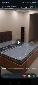 Bedroom Image of 3000 Sq.ft 4 BHK Independent House for rent in Sector 20 Noida for Rs. 56000