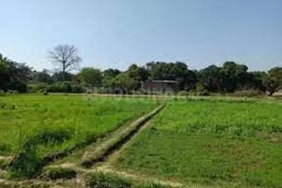 Image of 1296 Sq.ft Residential Plot / Land for sale in ASM Shree Jaswant Garden, Sector 14, Panchkula for Rs. 10365000