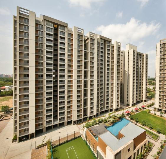 Orchid Heaven Main Image 1