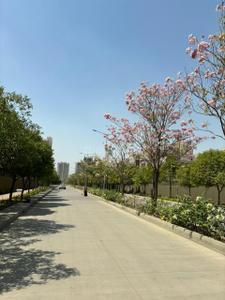 Image of 3330 Sq.ft 4 BHK Villa for sale in Goyal Floris, Shela, Ahmedabad for Rs. 34000000