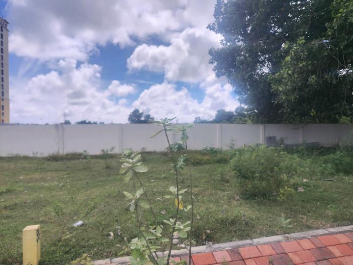 Alamo XS Real Castillo Main Image 1