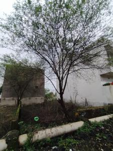 Chaitanya city Plot View 1