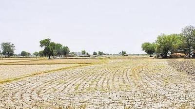 Image of 9378 Sq.ft Residential Plot / Land for sale in Dholera, Ahmedabad for Rs. 159426000