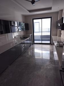 Hall Image of 1800 Sq.ft 3 BHK Builder Floor for sale in DLF Phase 2, DLF Phase 2 Gurgaon for Rs. 37500000