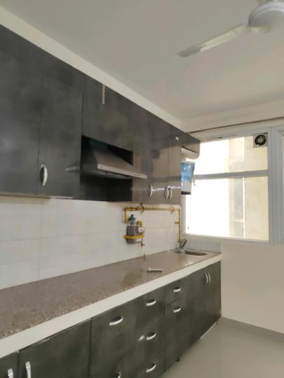 Tulip Lemon Main Image 1