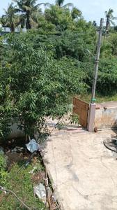 Image of 2115 Sq.ft 3 BHK Independent House for sale in Sarabhapuram, Eluru for Rs. 5000000