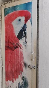 Bathroom Image of 368 Sq.ft 1 RK Independent House for sale in Komarapalayam Namakkal for Rs. 3000000