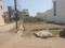 Ruchi Lifescape Plot View 2